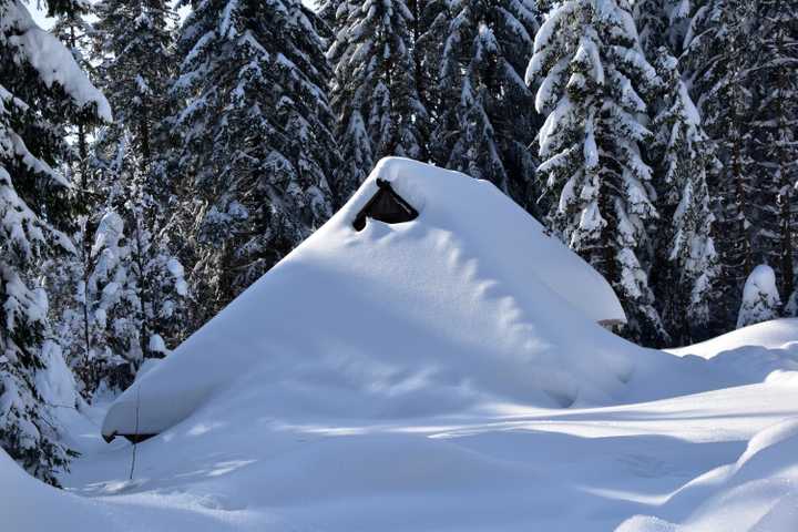 Snow Blanketing a House and Forest